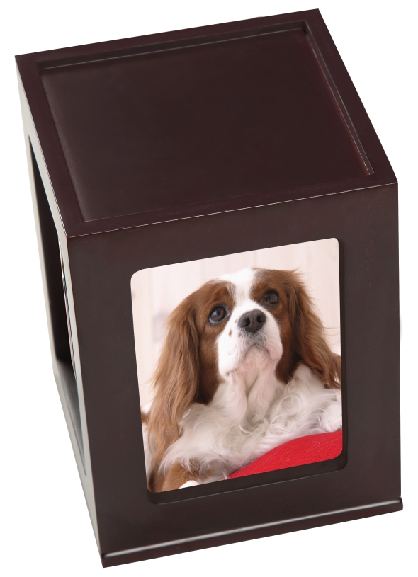 Pet Photo Wood Urn | Integrity Funeral Home